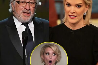 Megyn Kelly Thought She Had Him Cornered—Then Robert De Niro Said Just Eight Words That Changed Everything