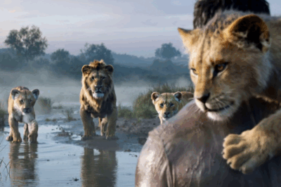 He Plunged into a Flood to Save a Lion Cub — The Moment He Reached Shore, Six Amber Eyes Surrounded Him — What Happened Next Made the Camera Drop…